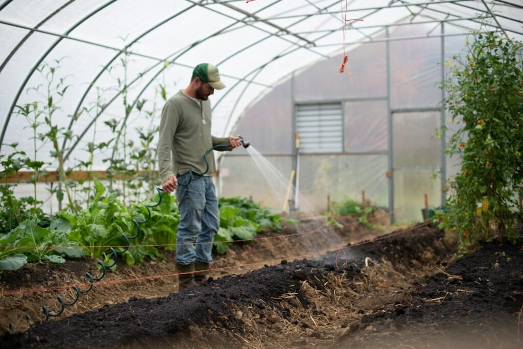 Worker among rows of green crops in a horticulture setting.
